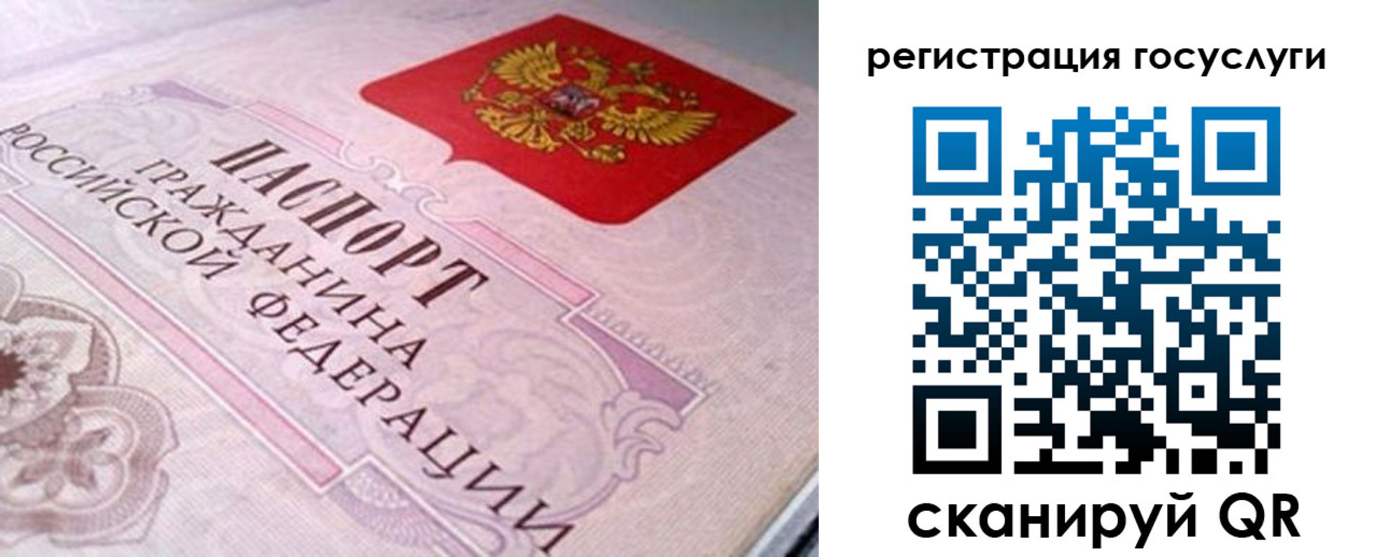 где прописаться в Камешково